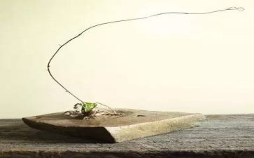 游褒禅山记读后感6篇