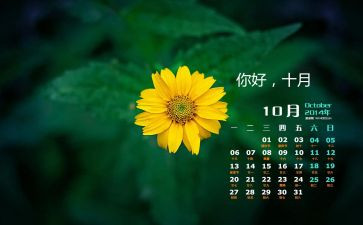 10月工作总结参考7篇