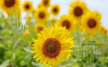 10月1的演讲稿6篇