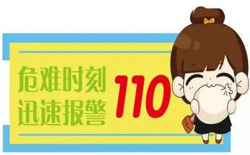 110辅警的个人总结7篇