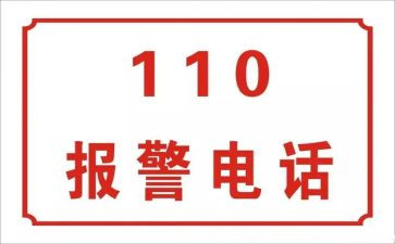 110警察节工作总结7篇