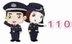 110工作总结500字通用8篇