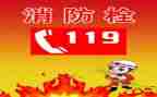 119心得体会500字模板5篇