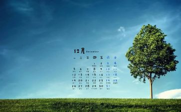 销售人员12月工作总结7篇