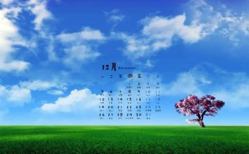 工作12月总结6篇