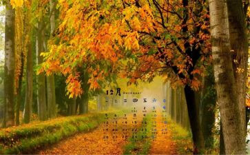 12月份安全总结7篇