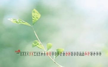 小班12月份月总结6篇