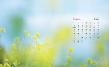 总结12月工作计划7篇