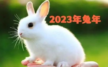 2023疫情演讲稿600字7篇