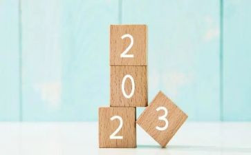 2023年乡镇长个人工作总结6篇