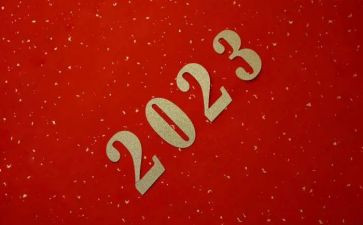 2023年度体育教学工作总结最新7篇