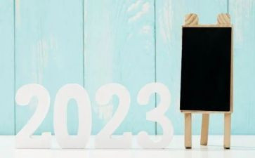 入团申请书20230万字精选6篇
