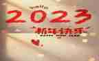 律师2023年度个人总结精选8篇