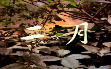 宣传2月工作总结5篇