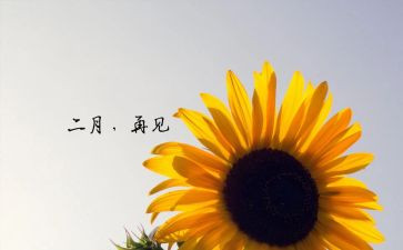 小班2月份工作总结7篇
