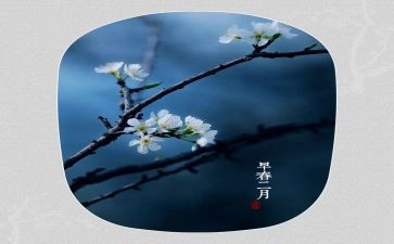 2024年2月工作总结8篇