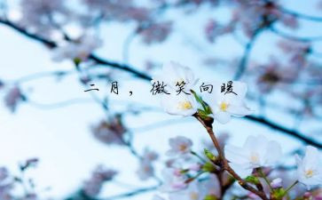 2月份的工作计划推荐7篇