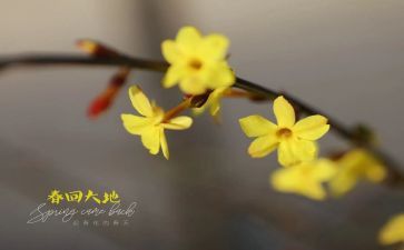 2月25教育心得体会8篇