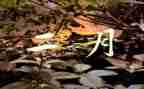 宣传2月工作总结5篇