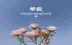 3月份的积极分子思想汇报5篇