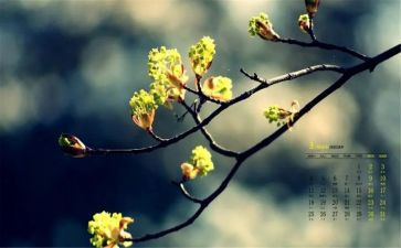 3月份国旗讲话稿5篇