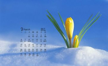 3月份开学讲话稿6篇