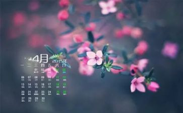 2024年4月卫生月总结8篇