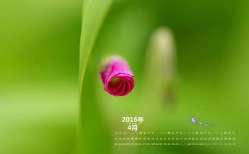 4月销售工作计划8篇
