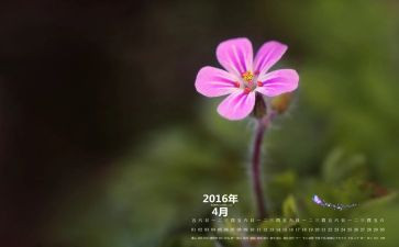 4月教育心得6篇