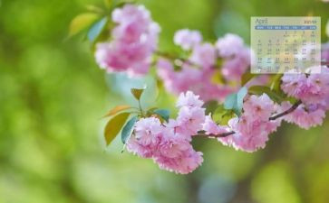 小班4月工作计划8篇