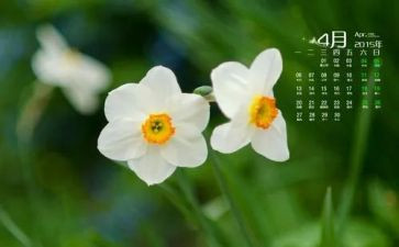 幼儿园大班4月份月总结8篇