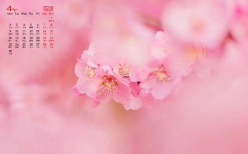 保安4月份工作计划6篇