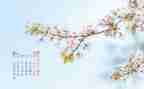 2024幼儿园中班4月份工作总结6篇