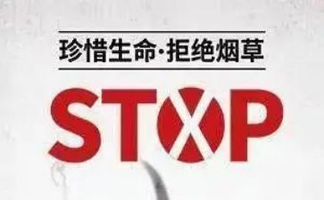 531讲话精神心得体会推荐7篇