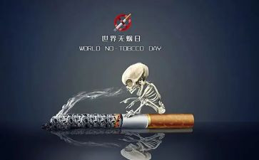 531计划心得体会6篇