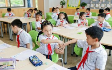 大班数学教案单双数教案5篇