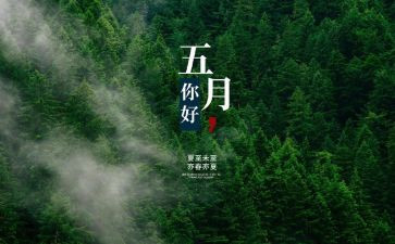 5月份个人总结7篇
