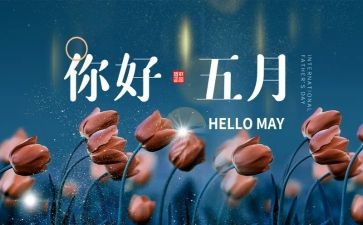 销售5月工作总结6篇