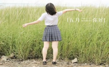 市场5月工作计划5篇