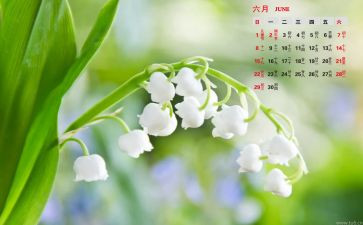 6月述职报告5篇