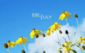 中班幼儿6月工作计划8篇