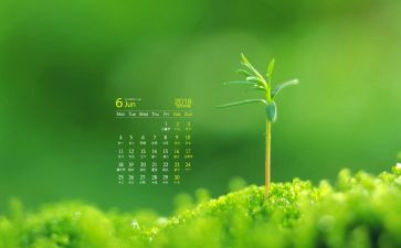 6月个人总结7篇