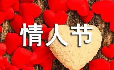 服装7夕活动方案优质7篇