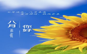 8月村工作计划最新5篇