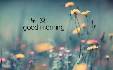 8月安全活动总结最新6篇