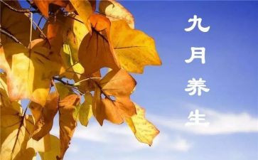 9月幼儿园中班工作总结7篇
