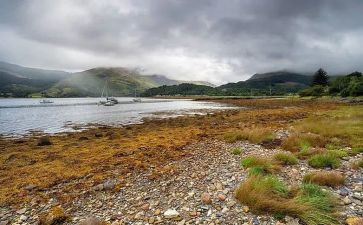读天蓝色的彼岸读后感精选5篇