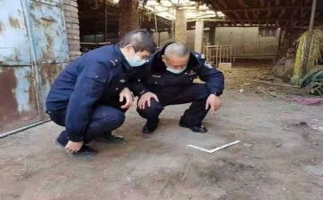 档案管理工作年度总结7篇