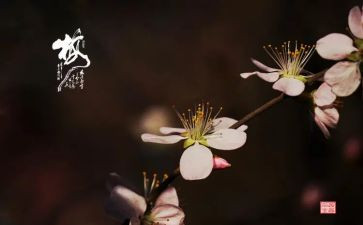 暗香作文8篇
