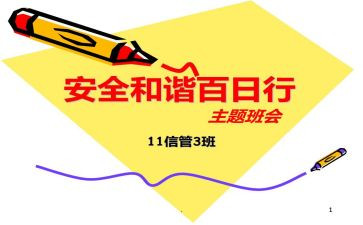 夏季治安打击整治百日行动总结报告6篇